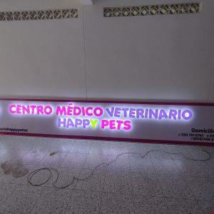 WhatsApp Image 2026-01-20 at 10.42.21 PM