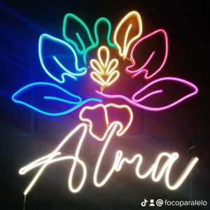 WhatsApp Image 2026-01-20 at 10.44.02 PM